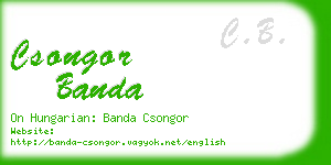 csongor banda business card